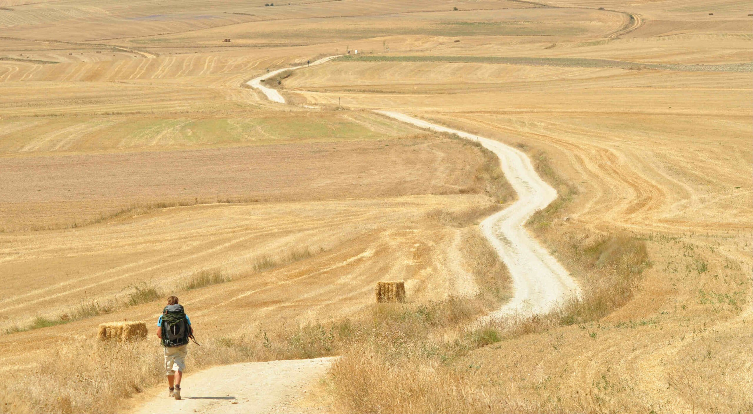 Scopri di più sull'articolo Area Adulti